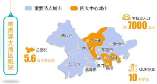 新澳门最精准免费大全2025,全面释义、解释与落实 - 楼市