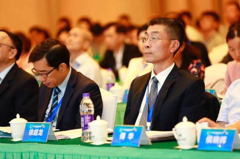 2025年新澳门和香港正版精准免费大全,全面释义解释与落实...